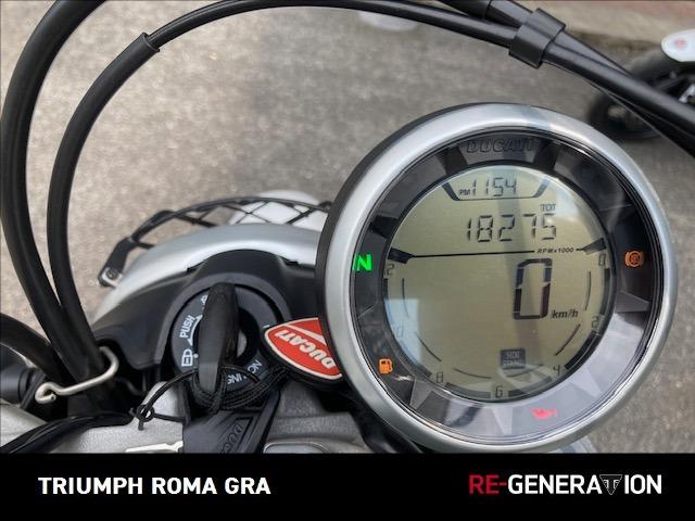 DUCATI Scrambler 800 Desert Sled White