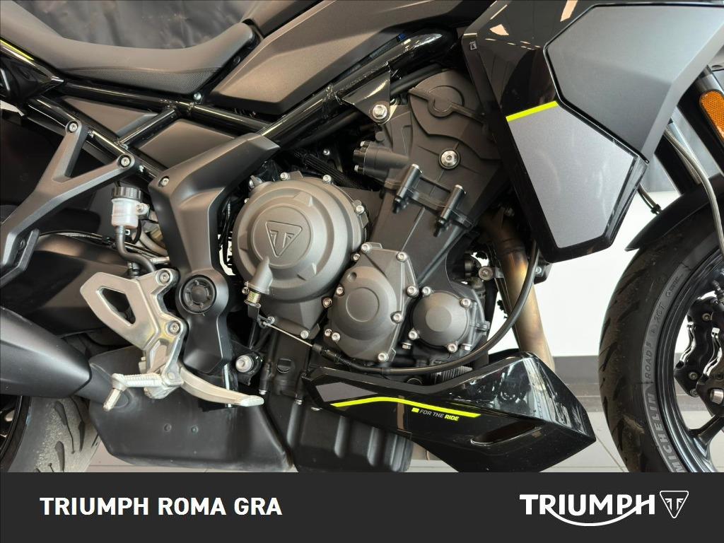 TRIUMPH Tiger Sport 800 Abs