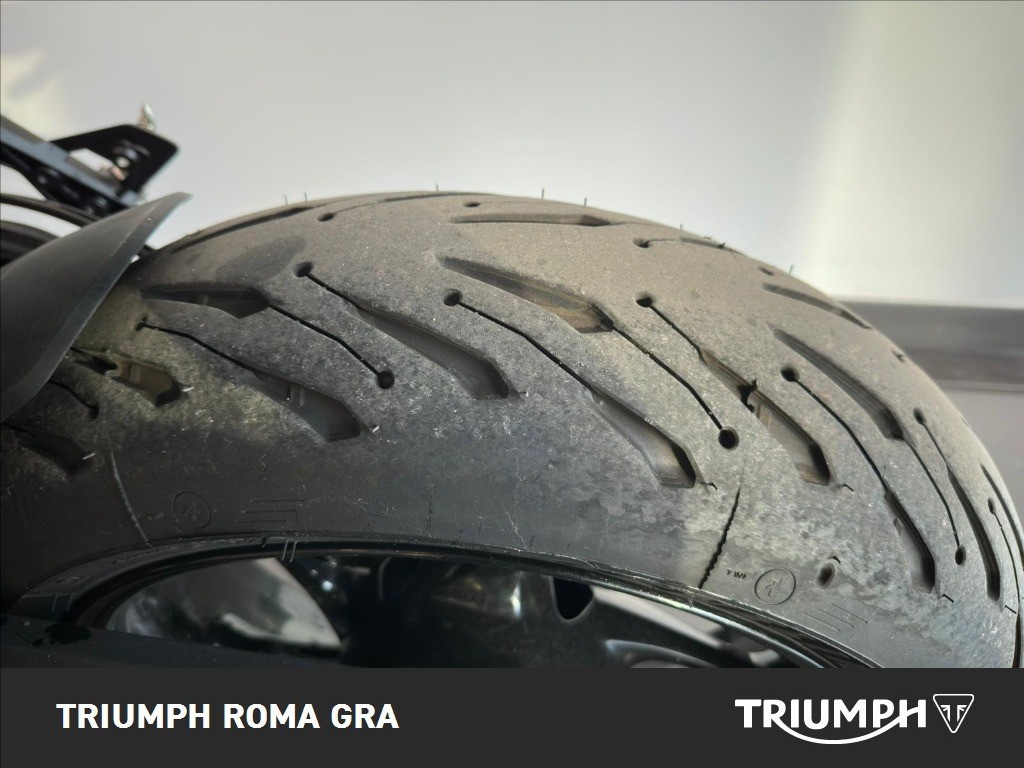 TRIUMPH Tiger Sport 660 Abs