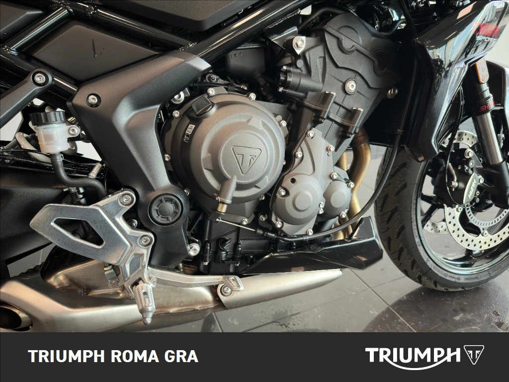 TRIUMPH Tiger Sport 660 Abs
