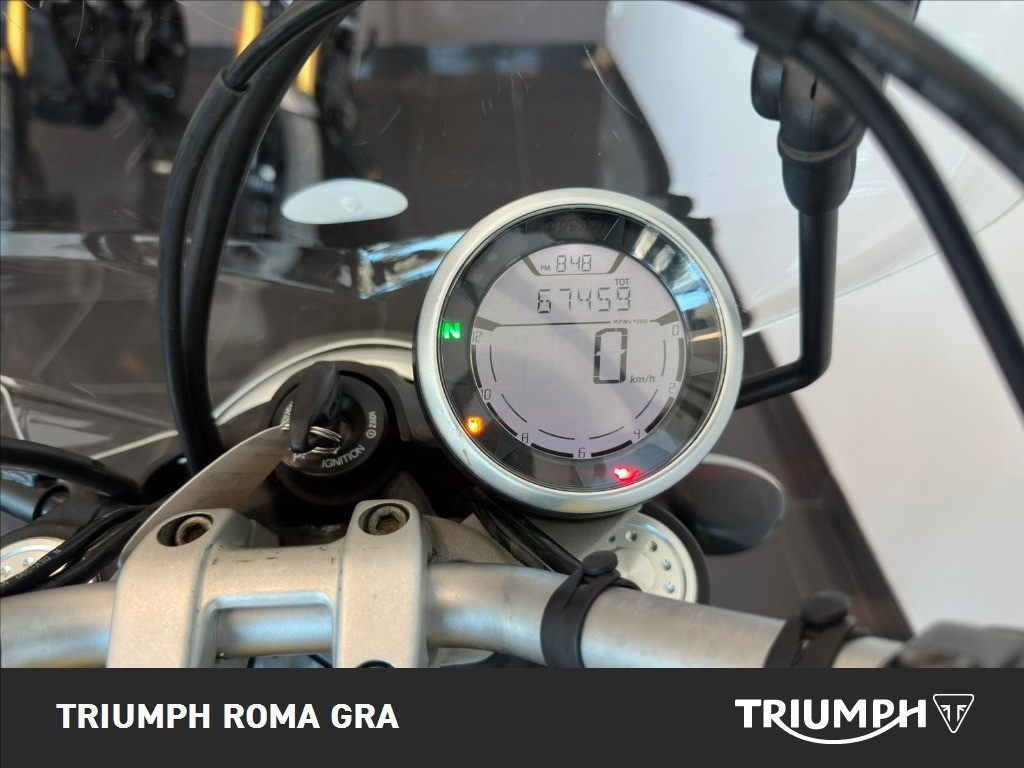 DUCATI Scrambler 800 Icon Yellow