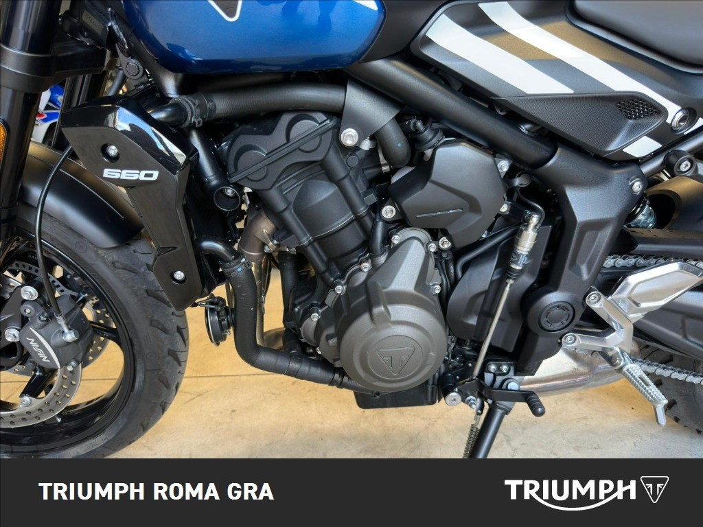 TRIUMPH Trident 660 Cobalt Blue / Sapphire Black Abs