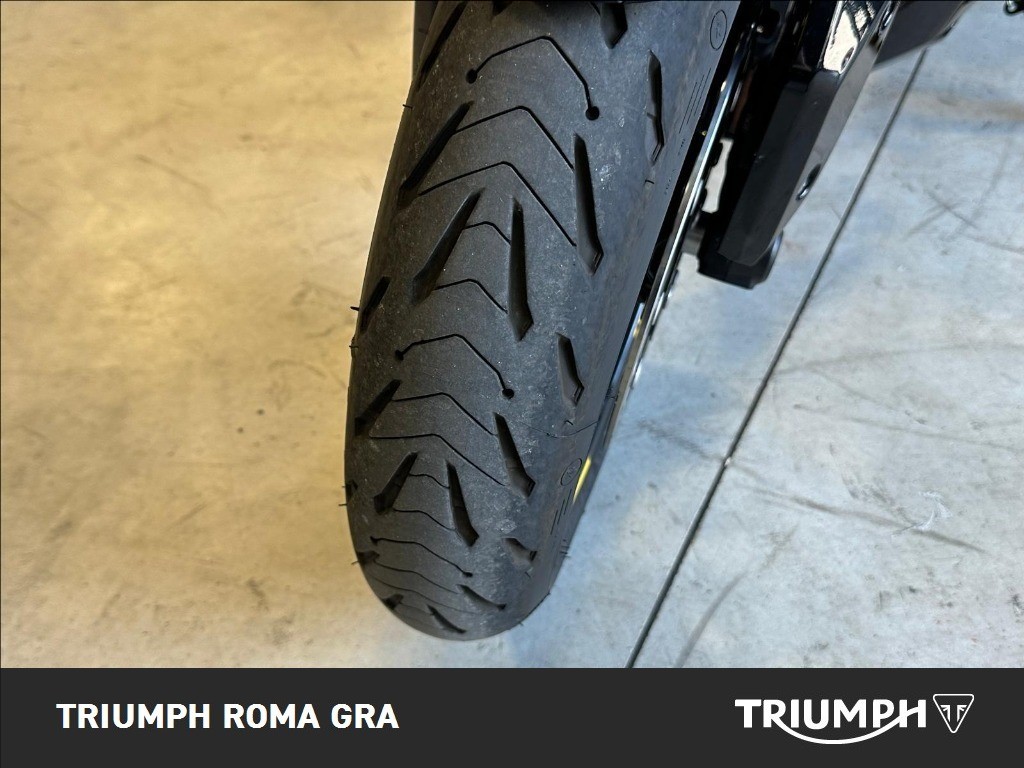 TRIUMPH Tiger Sport 800 Abs