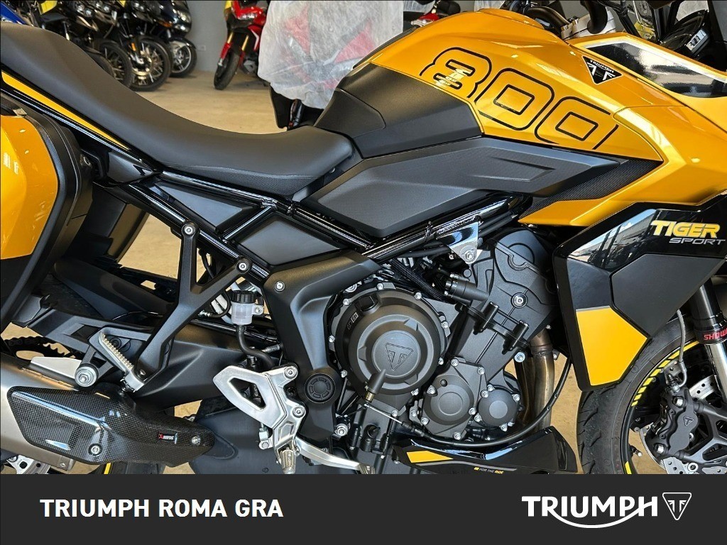 TRIUMPH Tiger Sport 800 Abs