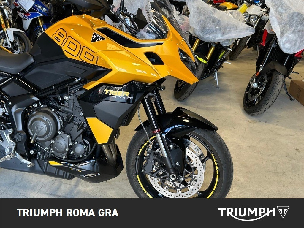 TRIUMPH Tiger Sport 800 Abs