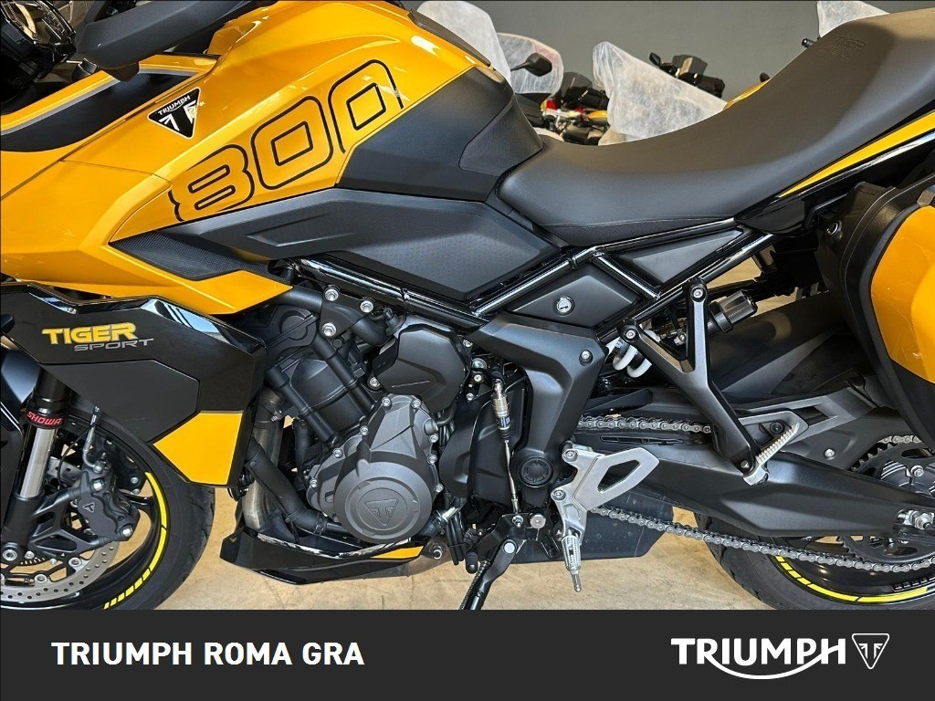 TRIUMPH Tiger Sport 800 Abs