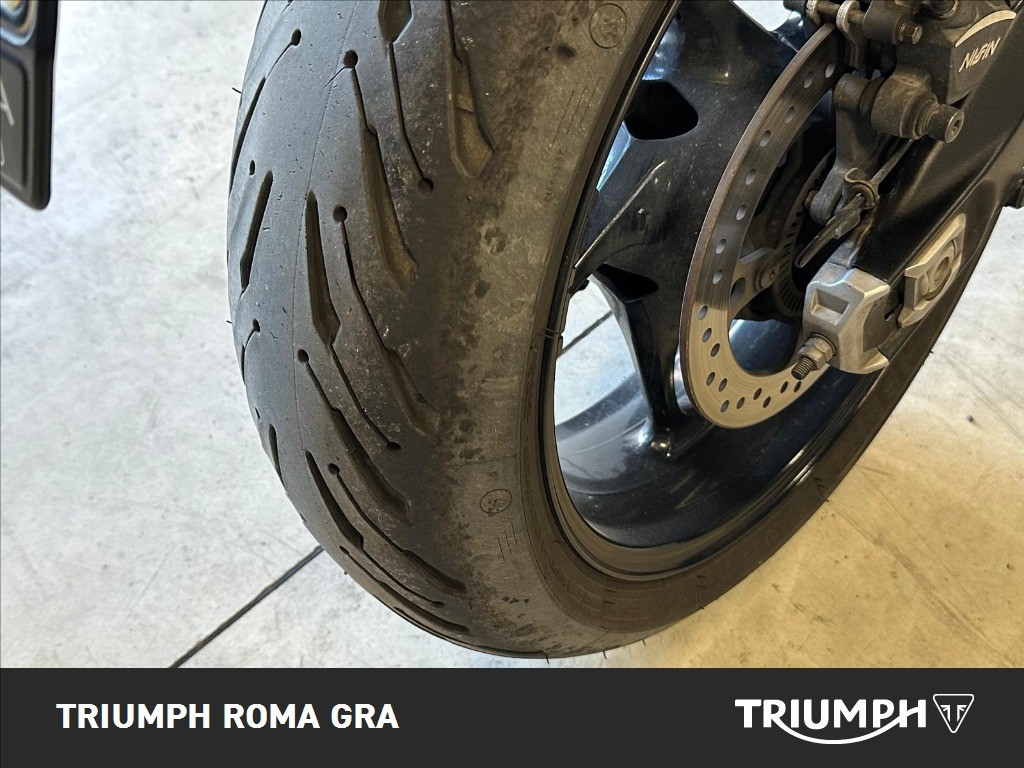 TRIUMPH Tiger Sport 660 Abs