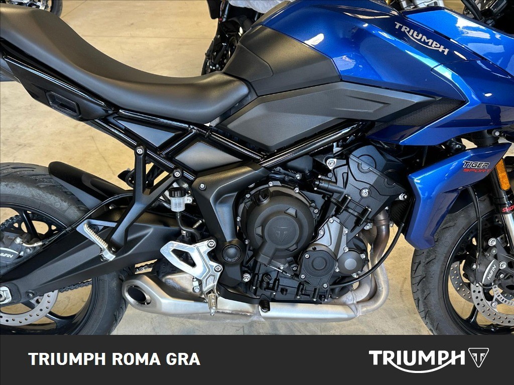 TRIUMPH Tiger Sport 660 Abs