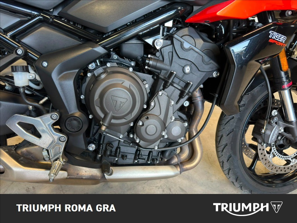 TRIUMPH Tiger Sport 660 Abs