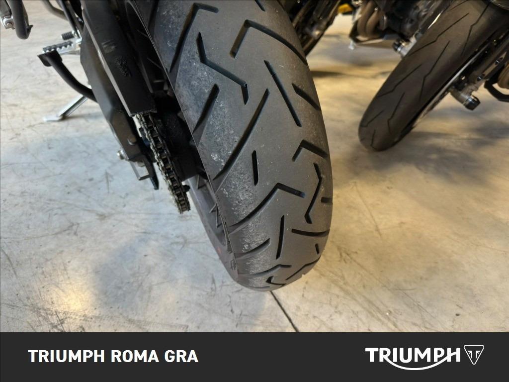 TRIUMPH Tiger 900 Rally Pro Abs