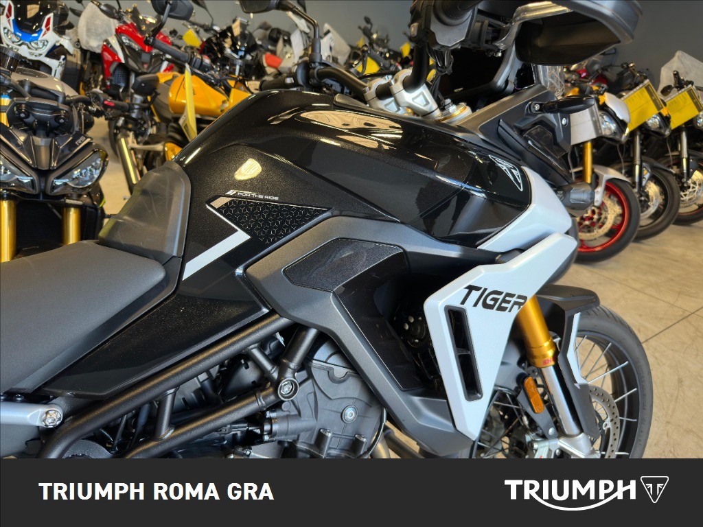 TRIUMPH Tiger 900 Rally Pro Abs